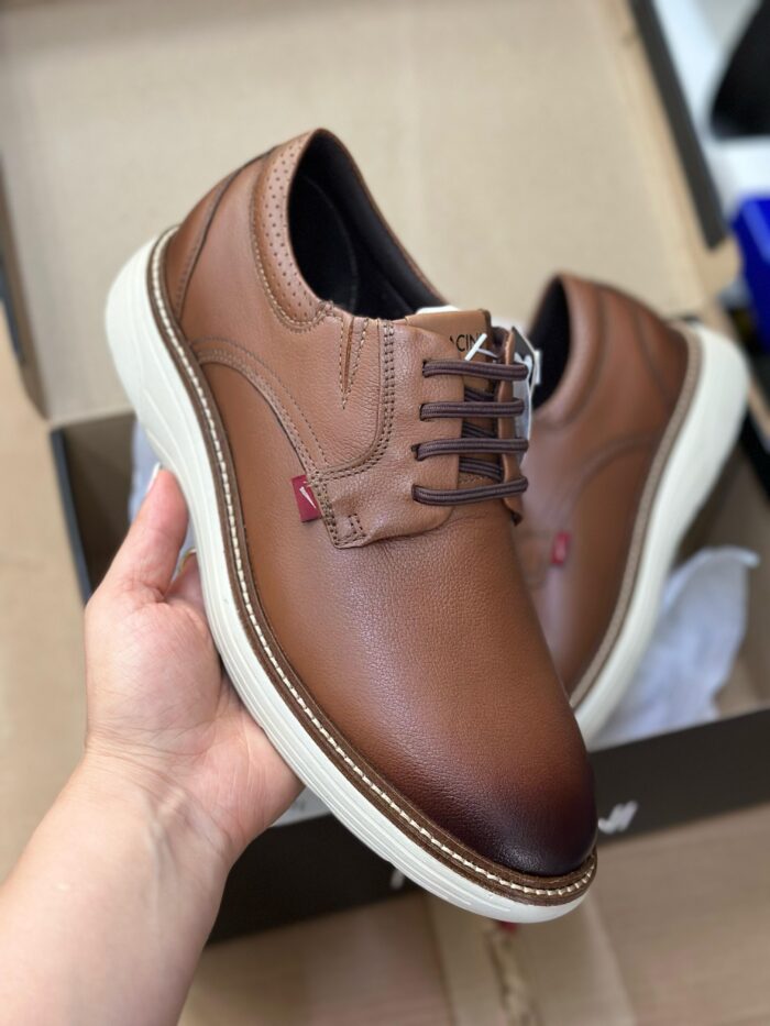 sapato ferracini masculino sapato ferracini masculino